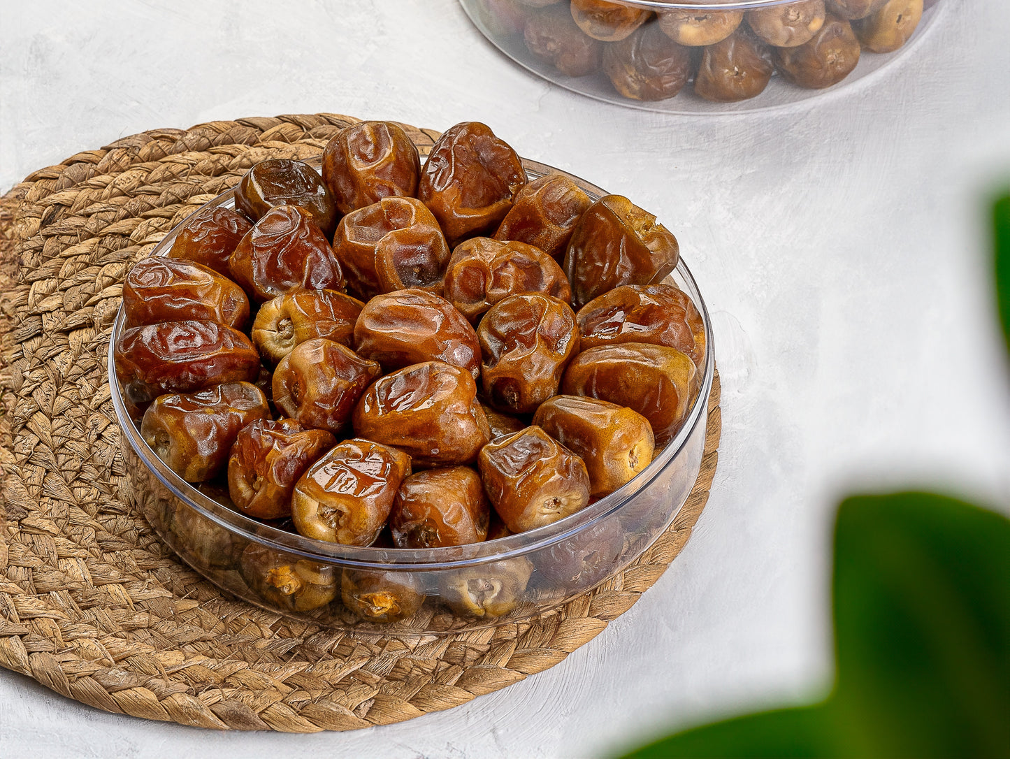  Saudi Sukkari Rotab Dates